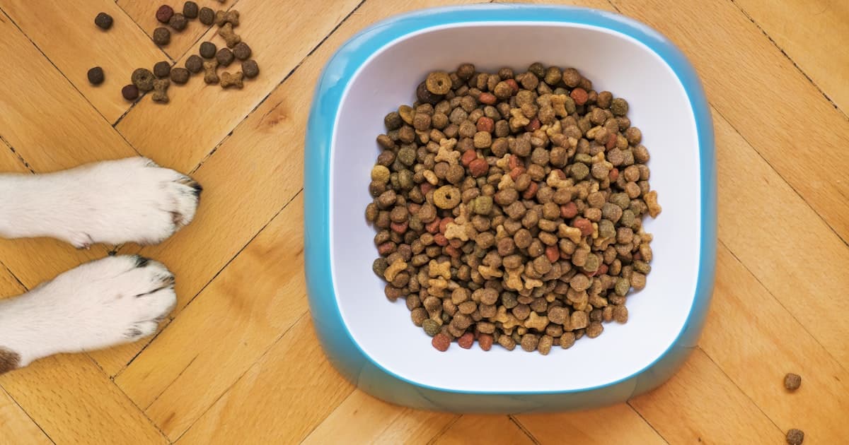 Sağlıklı Beslenme Rehberi